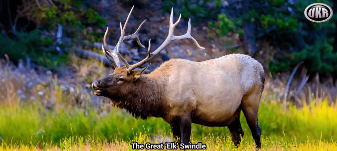 freepik__expand__32351_144322_optimized_400 (1)