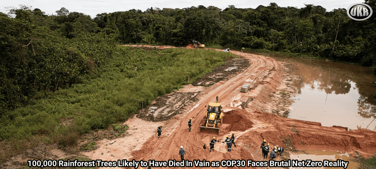100,000 Rainforest Trees Likely to Have Died In Vain as COP30 Faces